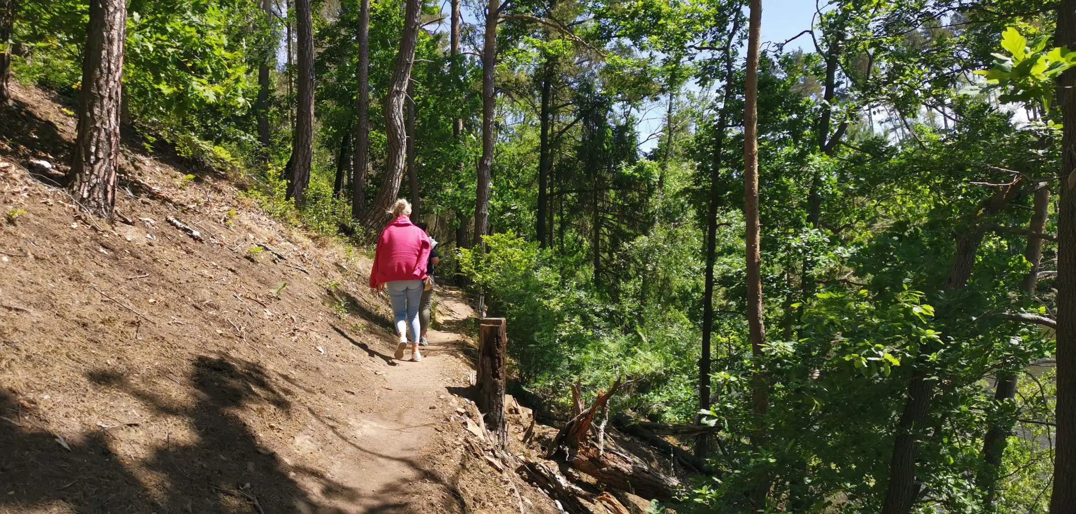 Eine ältere Person geht auf einem sonnigen Waldweg spazieren und genießt die Natur. Das Bild symbolisiert Mobilität, Aktivität und Lebensqualität im Alter.