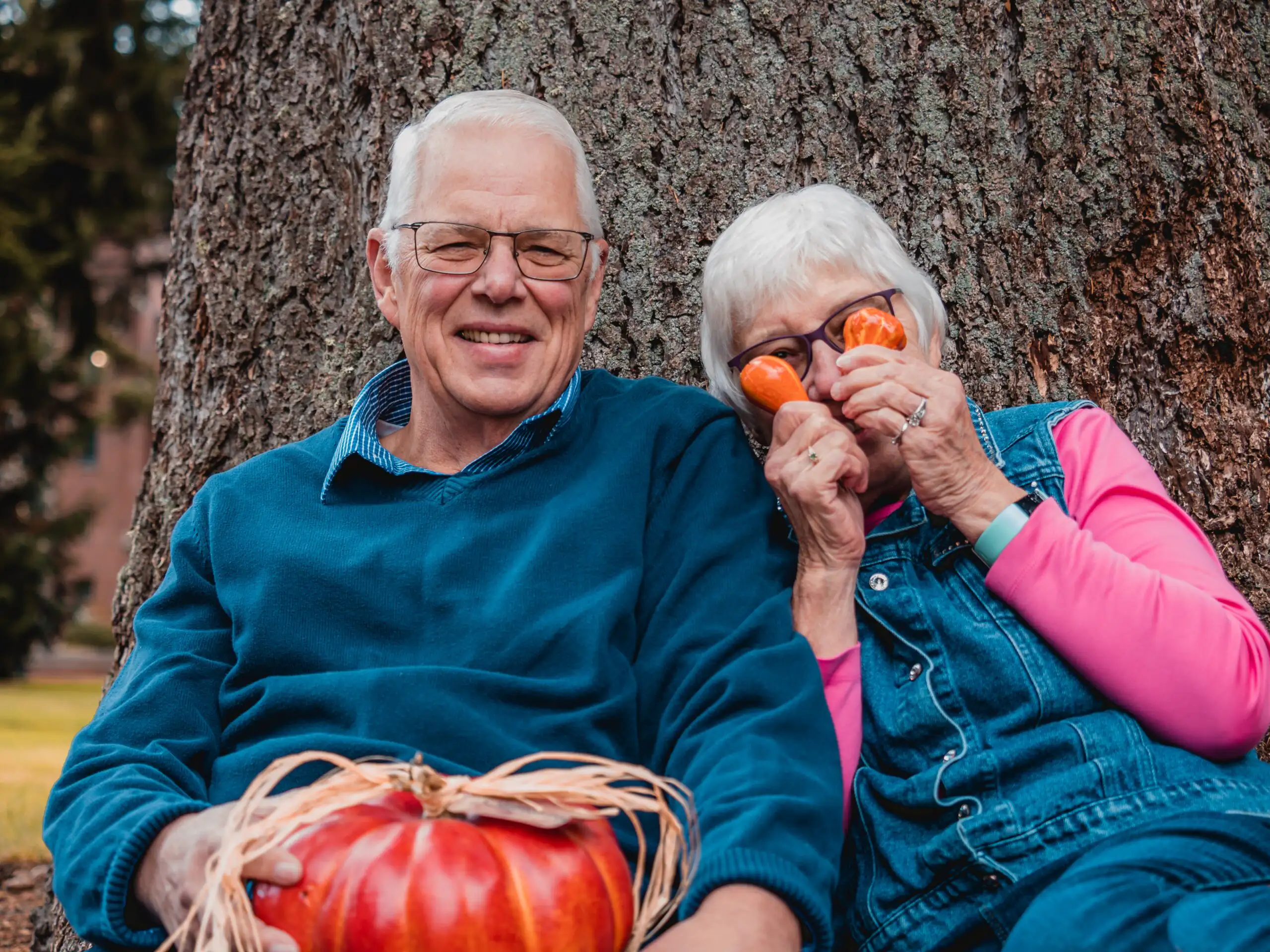 Ein glückliches älteres Paar sitzt lächelnd im Herbst vor einem großen Baum. Die Frau hält spielerisch kleine orangefarbene Gemüsesorten vor ihre Augen, während der Mann einen großen Kürbis auf dem Schoß hält.