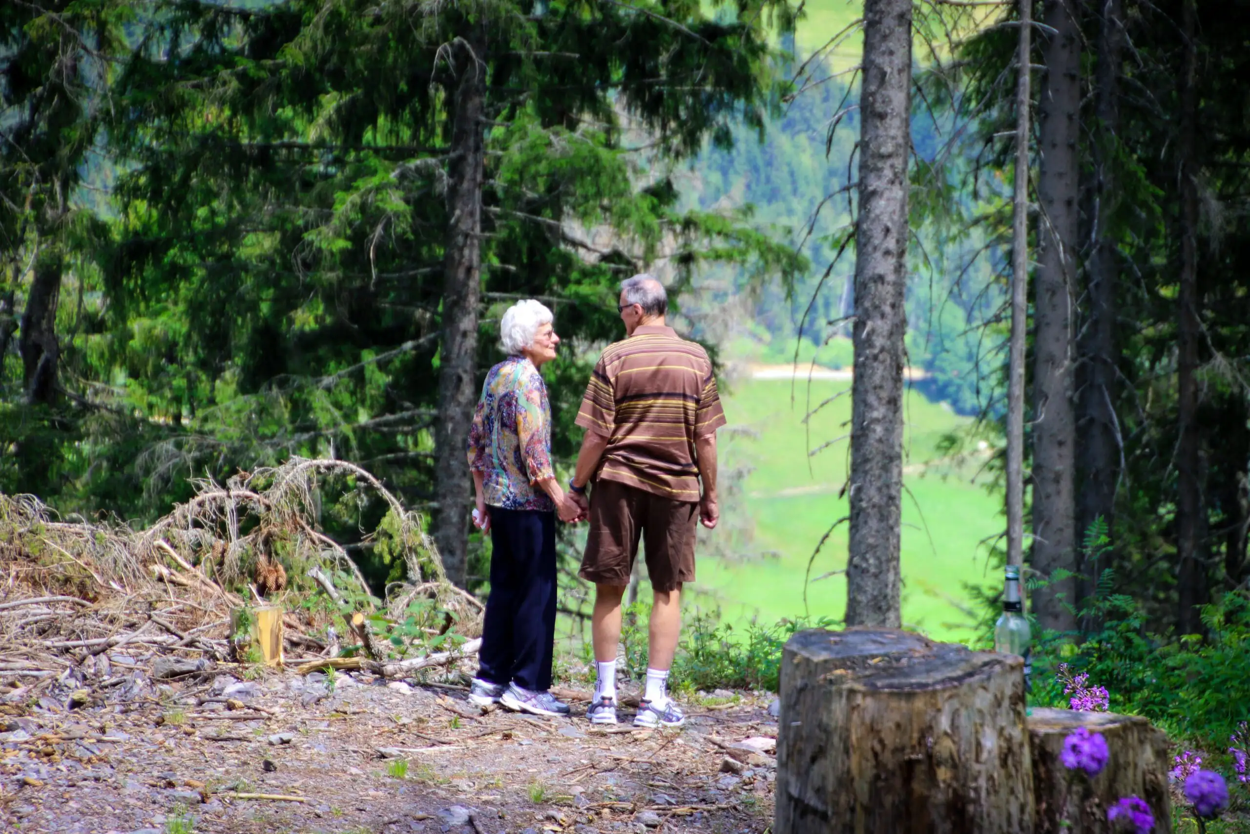 Ein älteres Paar steht Hand in Hand im Wald und genießt die Aussicht. Die Szene vermittelt Lebensqualität und Aktivität im Alter.