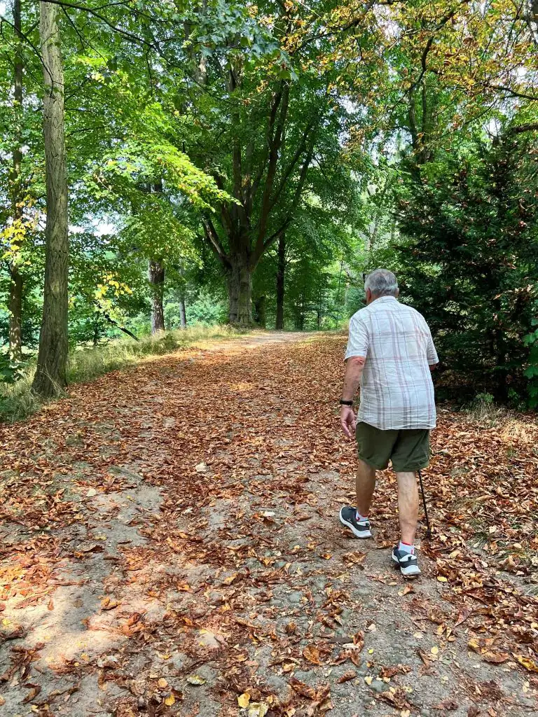 Ein Senior geht mit einem Gehstock auf einem herbstlichen Waldweg. Das Bild symbolisiert Mobilität und aktives Leben im Alter.