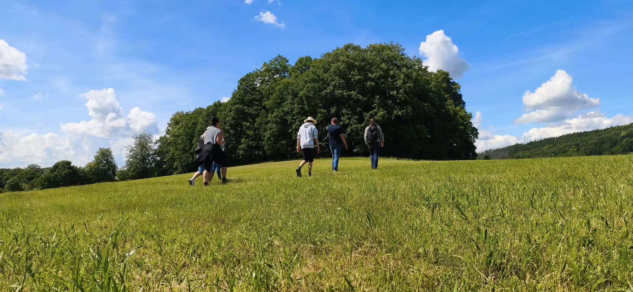 Vier Personen gehen gemeinsam über eine grüne Wiese auf einen Wald zu.